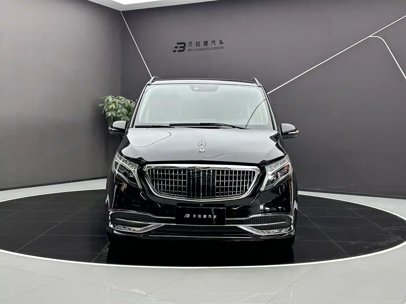 MERCEDES-BENZ V CLASS