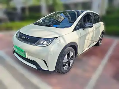 BYD Dolphin