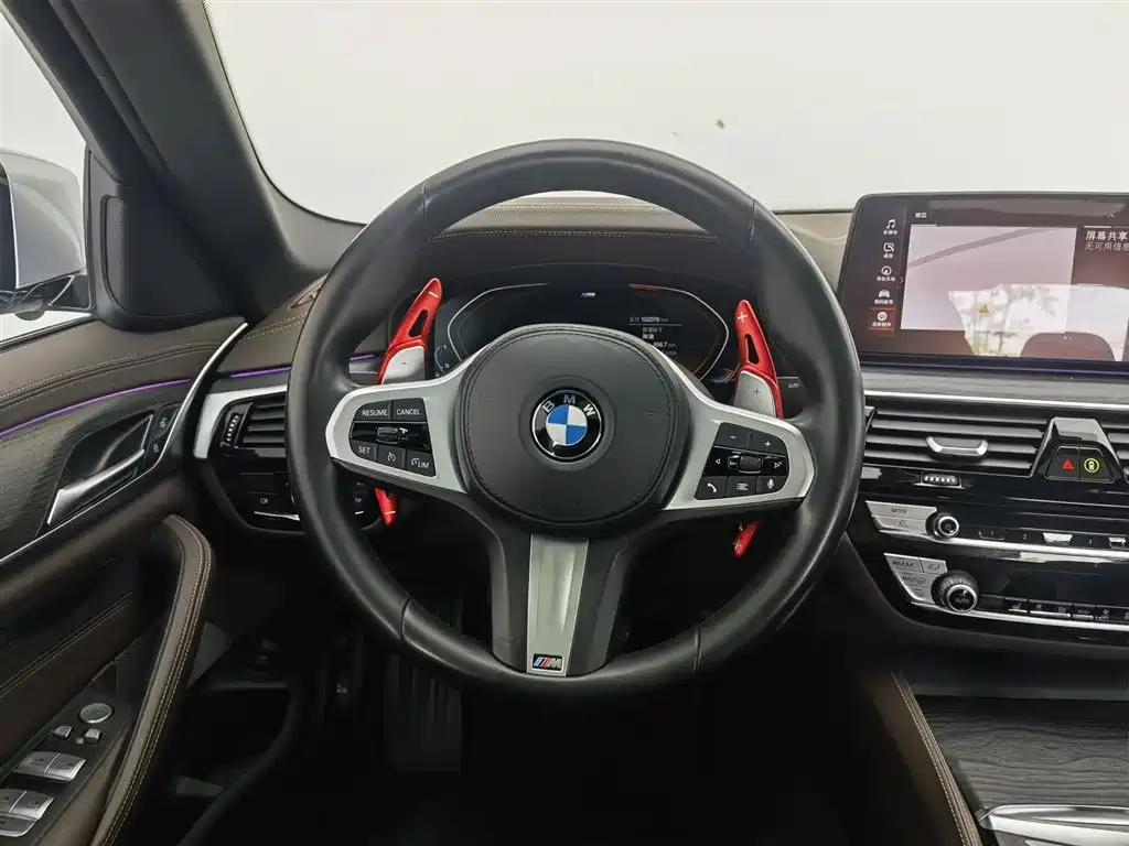 BMW 5 Series 2021 530Li Leading M Sport Package фото 11