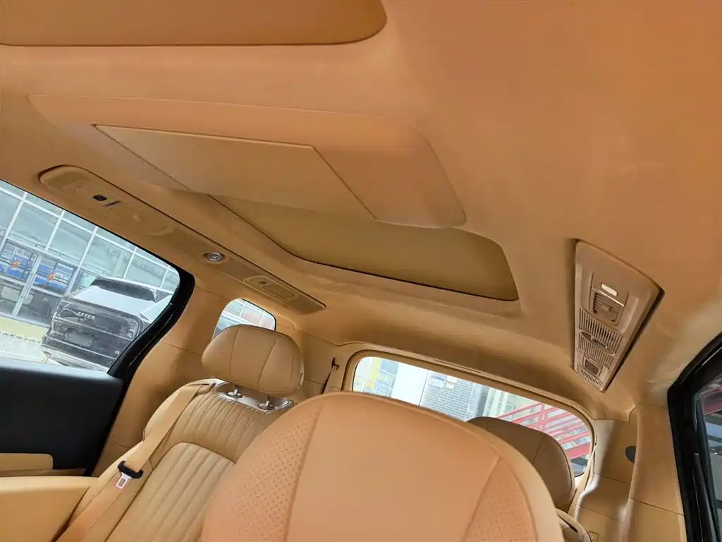 Voyah Auto Voyah Dreamer 2025 PHEV AWD Flagship Kunpeng Edition фото 18