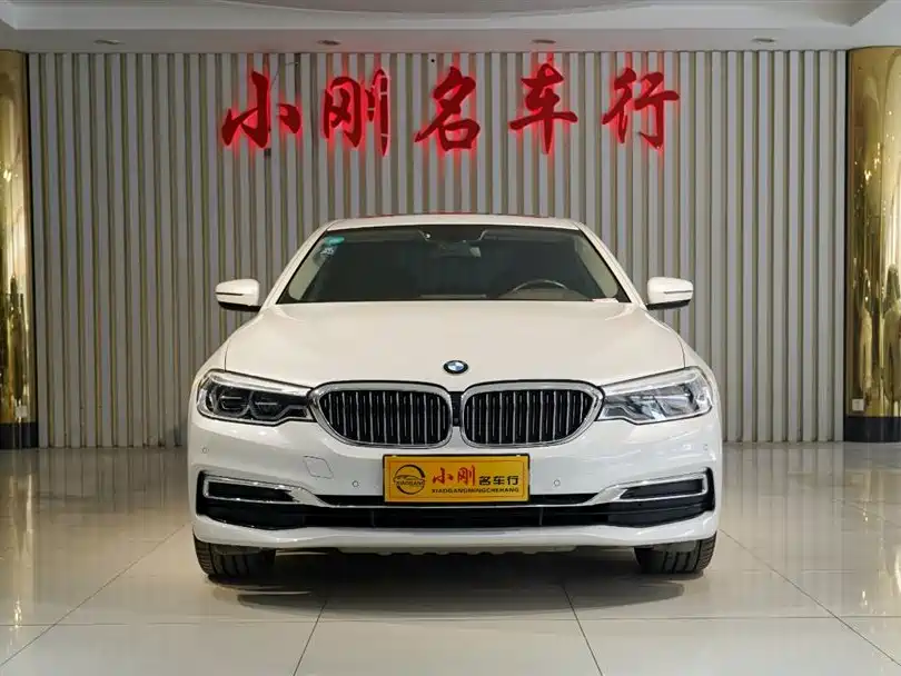 BMW 5 Series 2020 530Li Premium Luxury Package фото 3