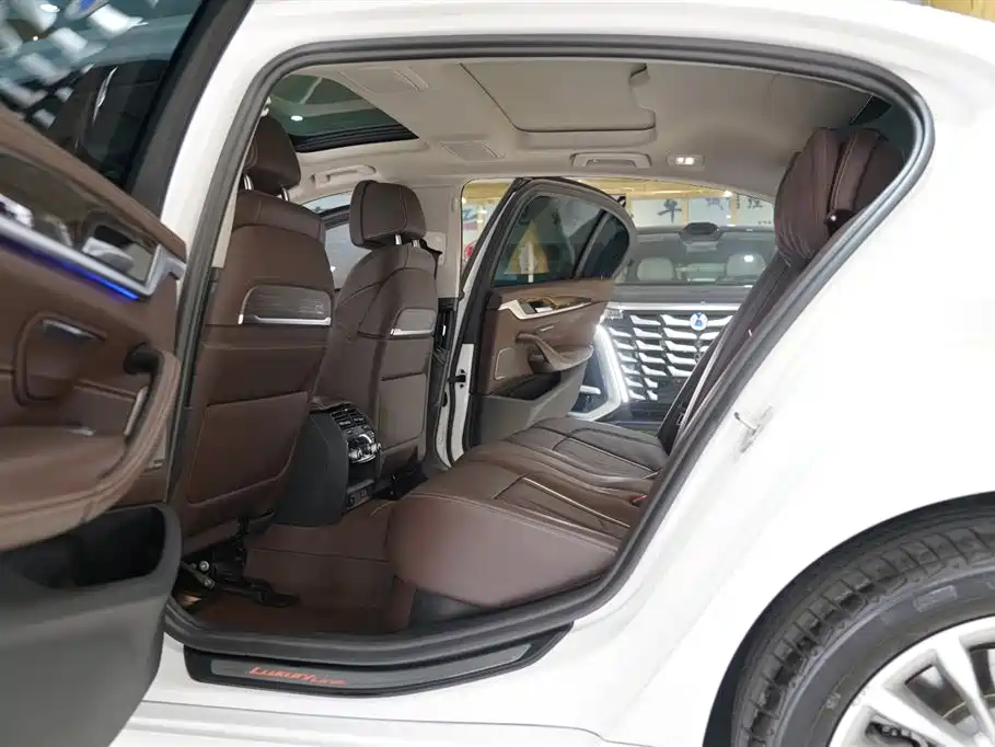 BMW 5 Series 2020 530Li Premium Luxury Package фото 6