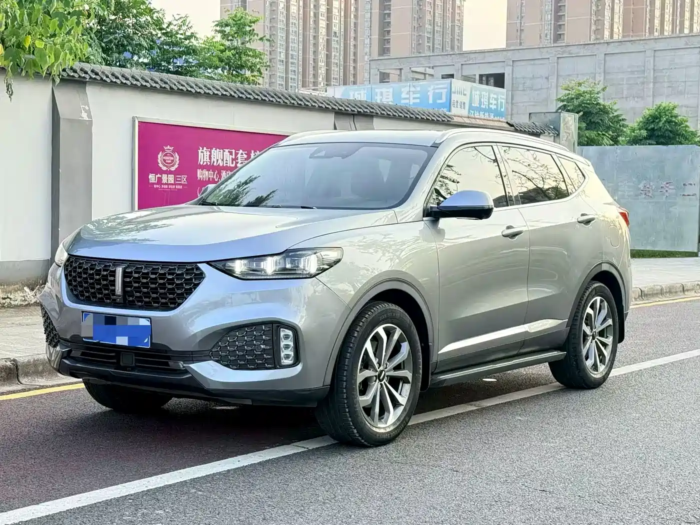 WEY VV6 2019 2020 2.0T 2WD Smart Enjoy+