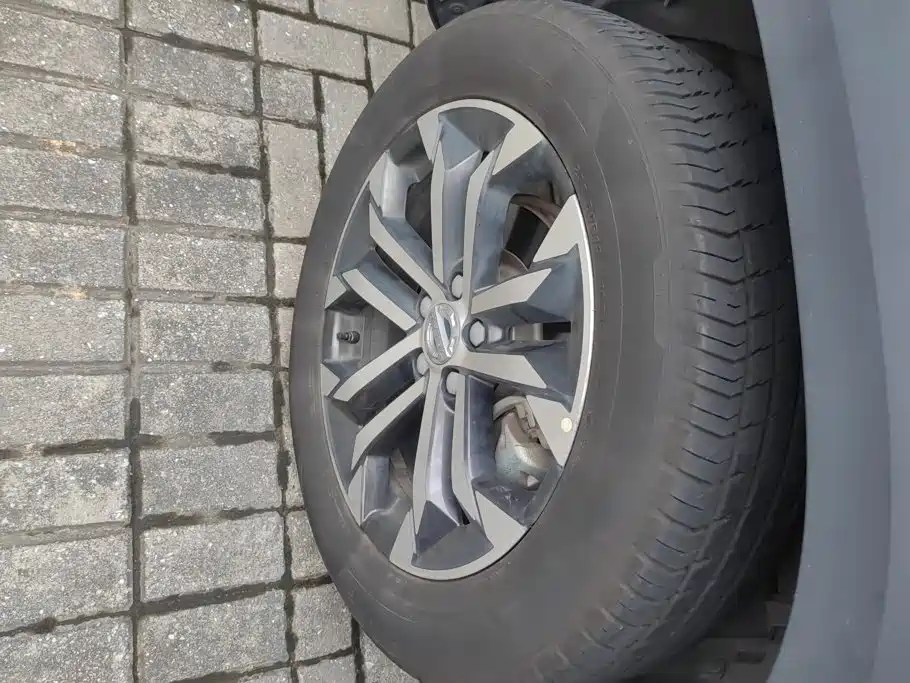 Photo 6 - Haval Dargo