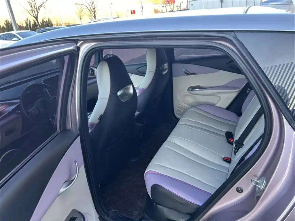 BYD Dolphin 2023 401km Knight Edition фото 12