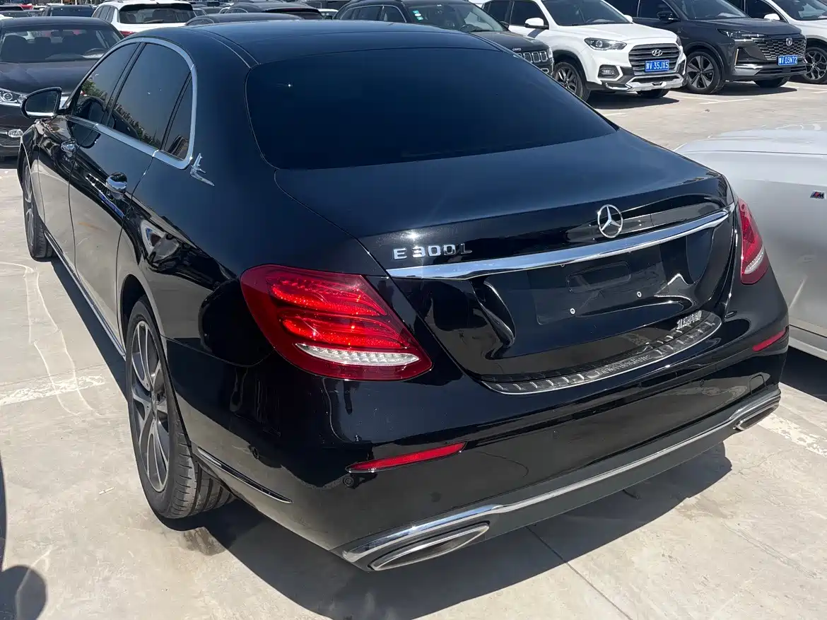 Mercedes-Benz E-Class 2017 E 300 L Luxury фото 8
