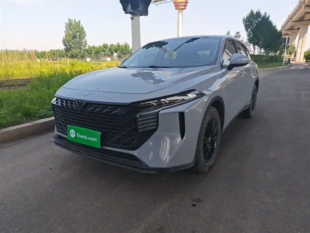 Venucia Big V 2021 260T Idol Edition