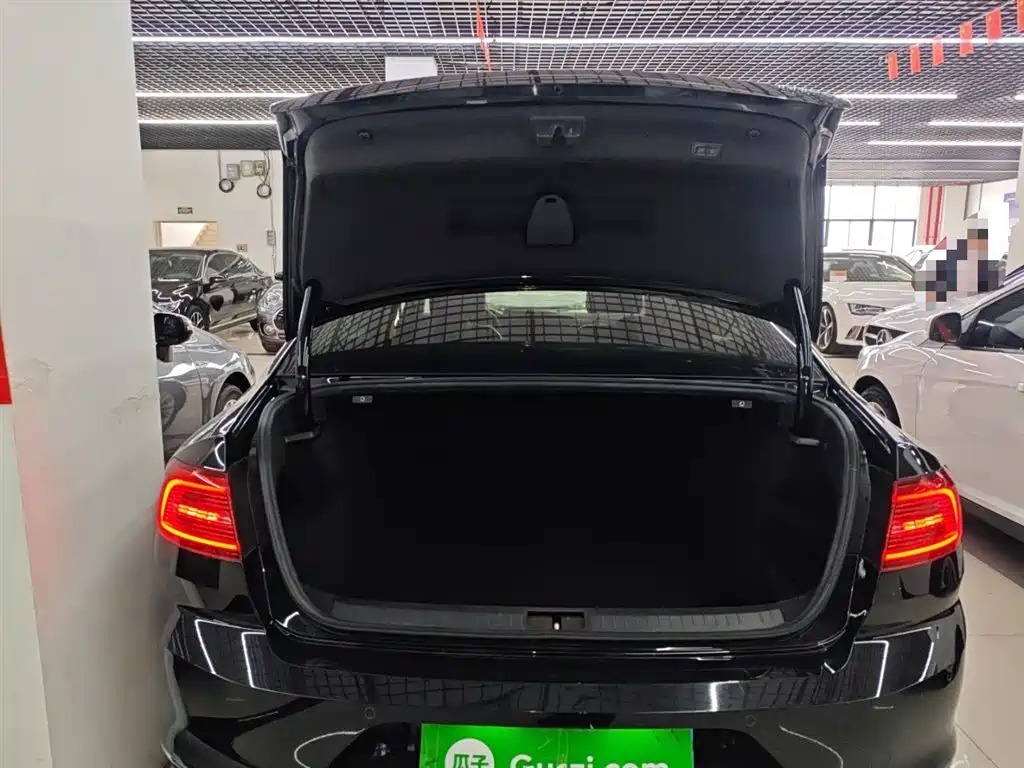 Volkswagen Magotan 2019 330TSI DSG Luxury Class China VI фото 19