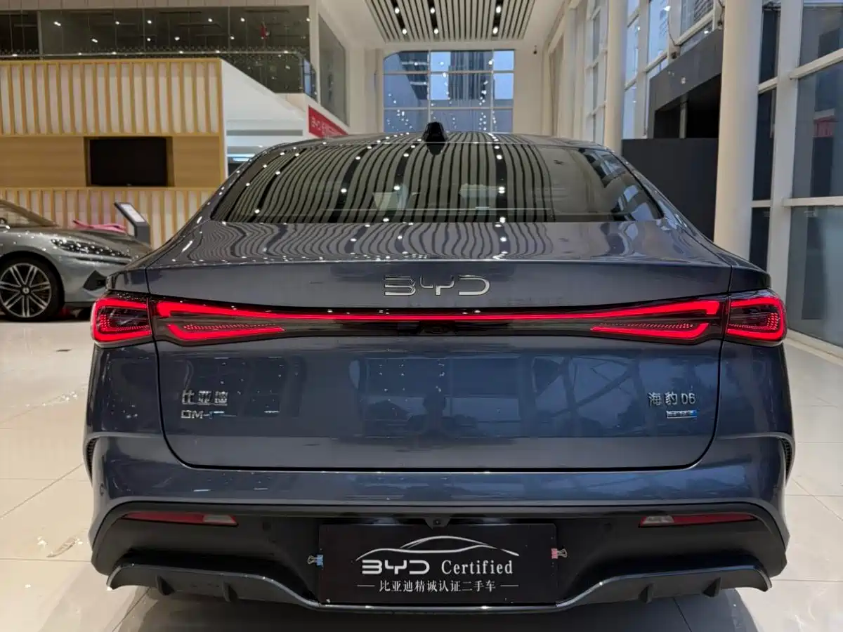 BYD Seal 06 New Energy 2025 DM-i Smart Drive Edition 120KM Luxury фото 8