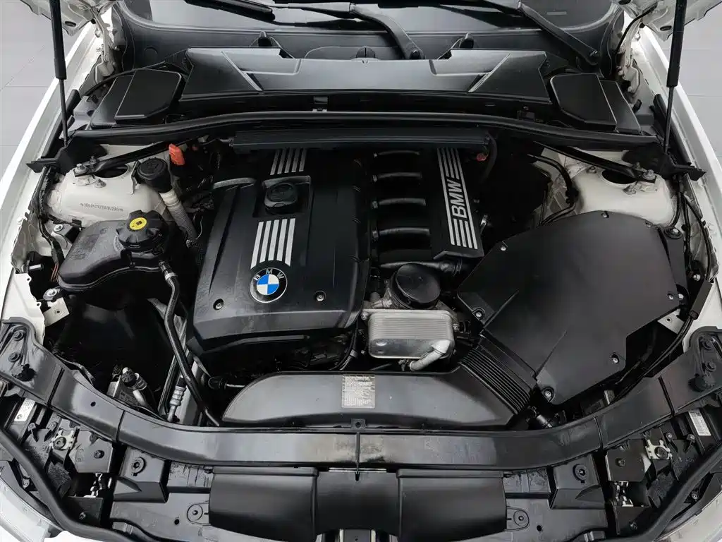 BMW 3 Series (Import) 2010 325i Luxury фото 6