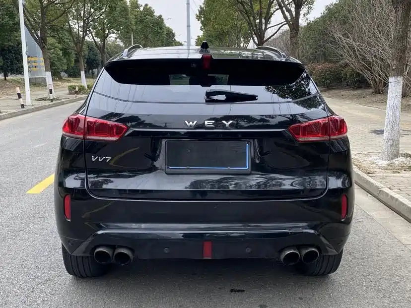 WEI PAI WEI BRAND VV7