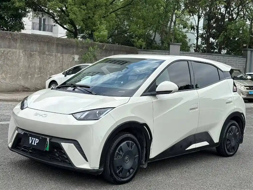 BYD Seagull 2024 Glory Edition 305km Freedom Edition