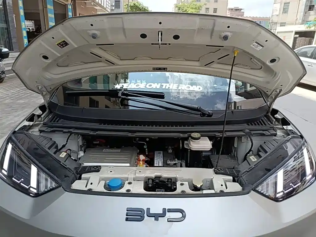 BYD Seagull 2023 Freedom Edition фото 20