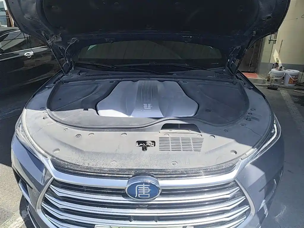 BYD Tang New Energy 2021 DM 2.0T AWD High Performance Genesis Flagship фото 20