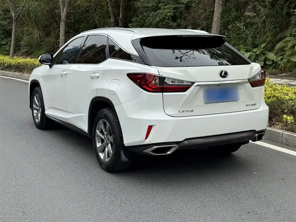 Lexus RX 2016 300 2WD Elite Edition China VI фото 10