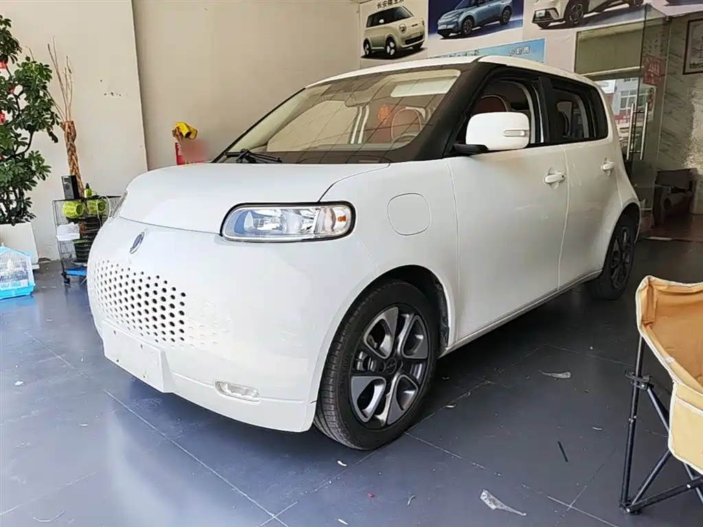 Ora White Cat 2021 2020 305km Luxury