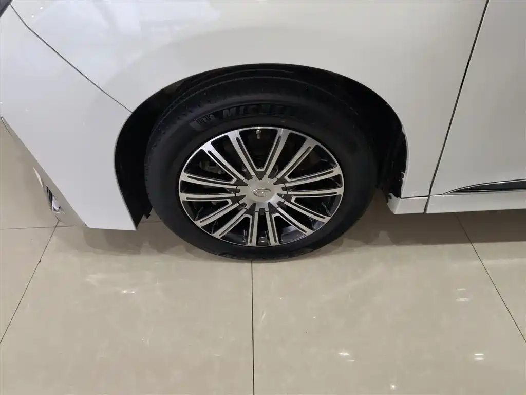 GAC Trumpchi Trumpchi M8 2023 Leading Series 390T Prestige Edition фото 23