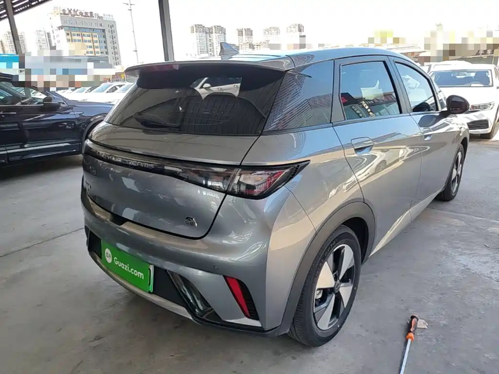 Фото 7 - BYD Dolphin