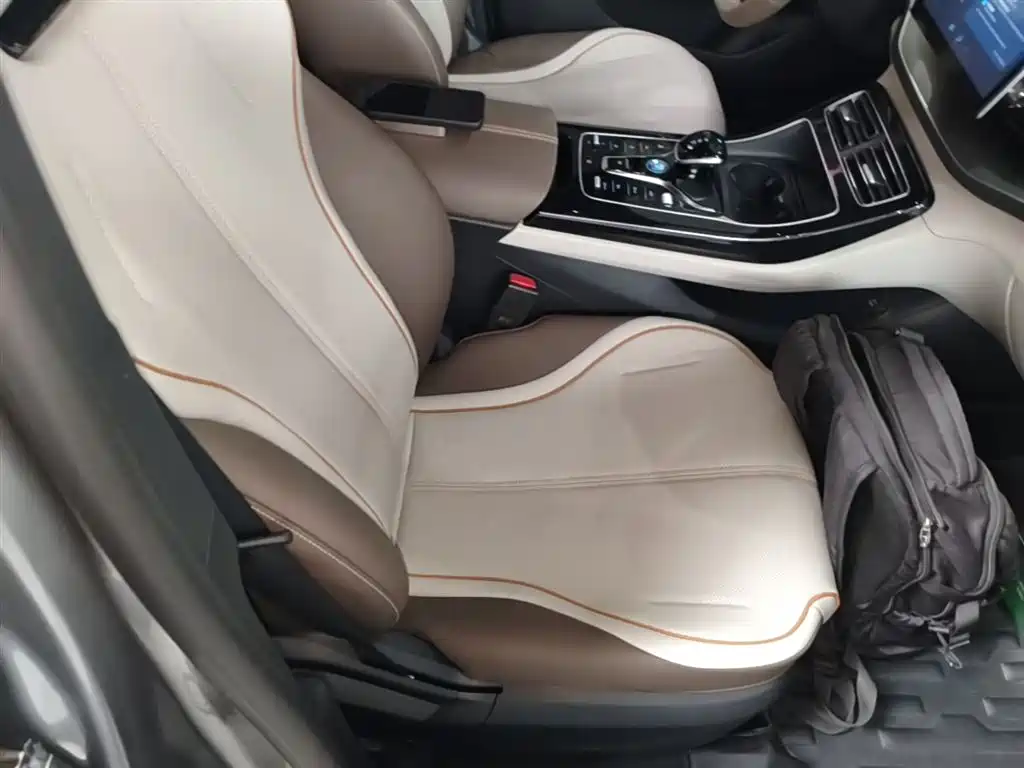 BYD Qin PLUS 2023 Champion Edition DM-i 120KM Leading Type фото 25