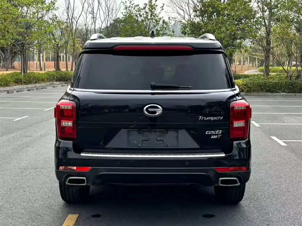 GAC Trumpchi Trumpchi GS8 2017 320T 2WD Luxury Smart Connect (7-seater) фото 23