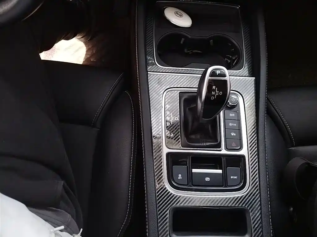 BYD Song MAX 2019 1.5T Auto Smart Connect Progressive 7-seater China V фото 14