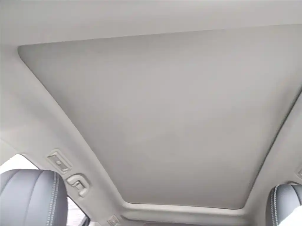 BYD Song MAX 2019 1.5T Auto Smart Connect Progressive 7-seater China V фото 18