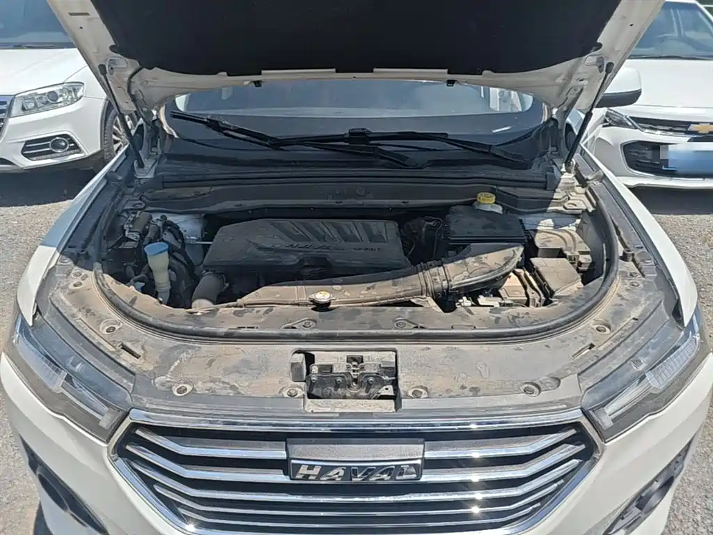 Haval H4 2019 1.5GDIT DCT Luxury Smart Connect Edition China V фото 20
