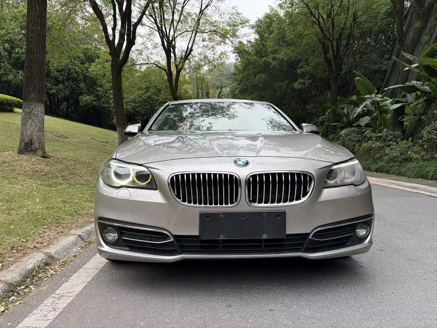 BMW 5 Series 2014 525Li Luxury Design Package фото 2