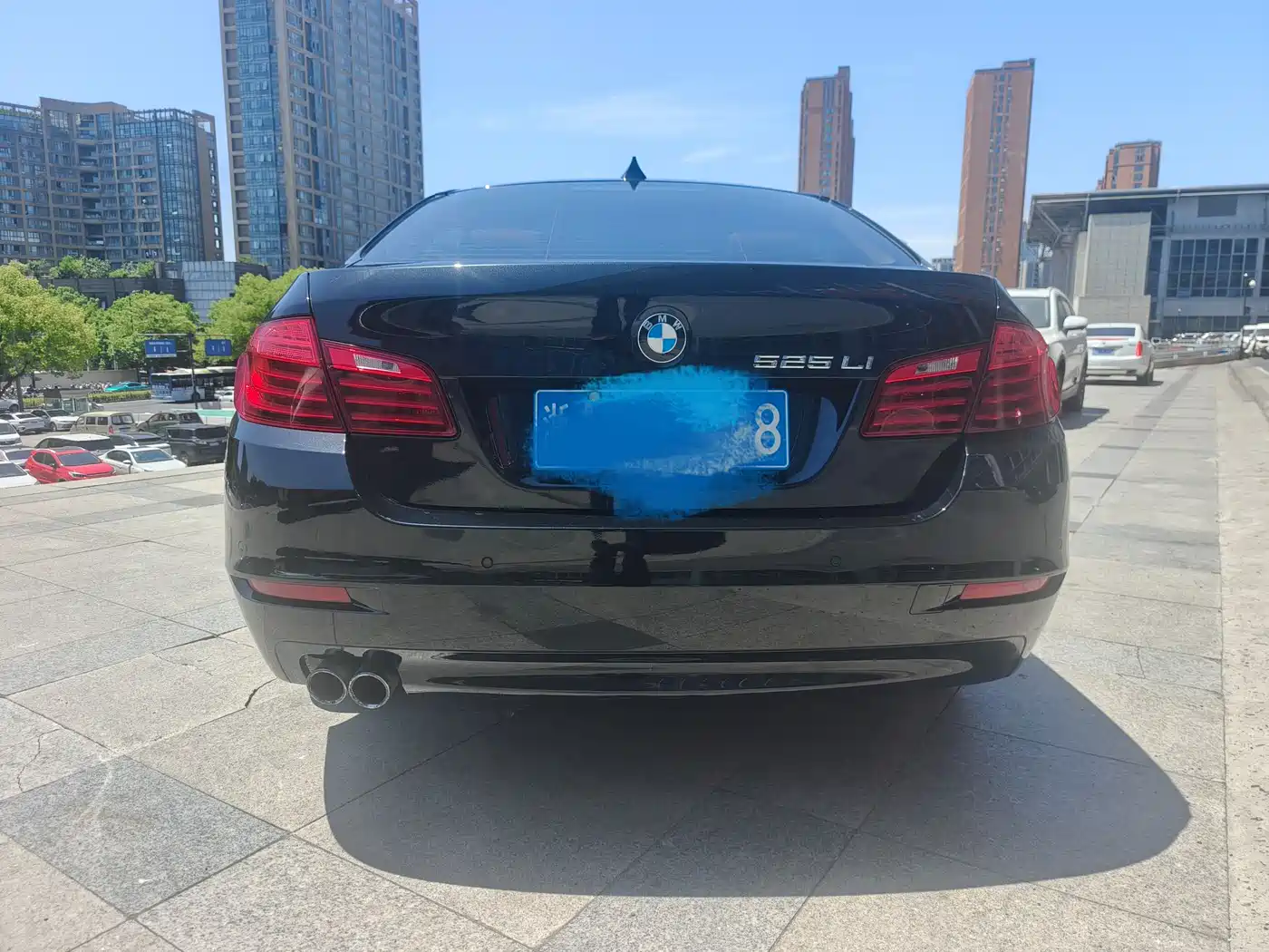 BMW 5 Series 2014 525Li Leading фото 3