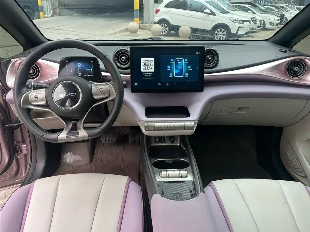 BYD Dolphin 2021 Model 405km Fashion Edition фото 20