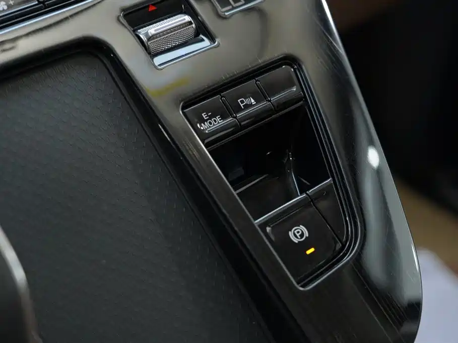 Hongqi HQ9 PHEV 2024 Model 2.0T AWD Business Edition фото 10