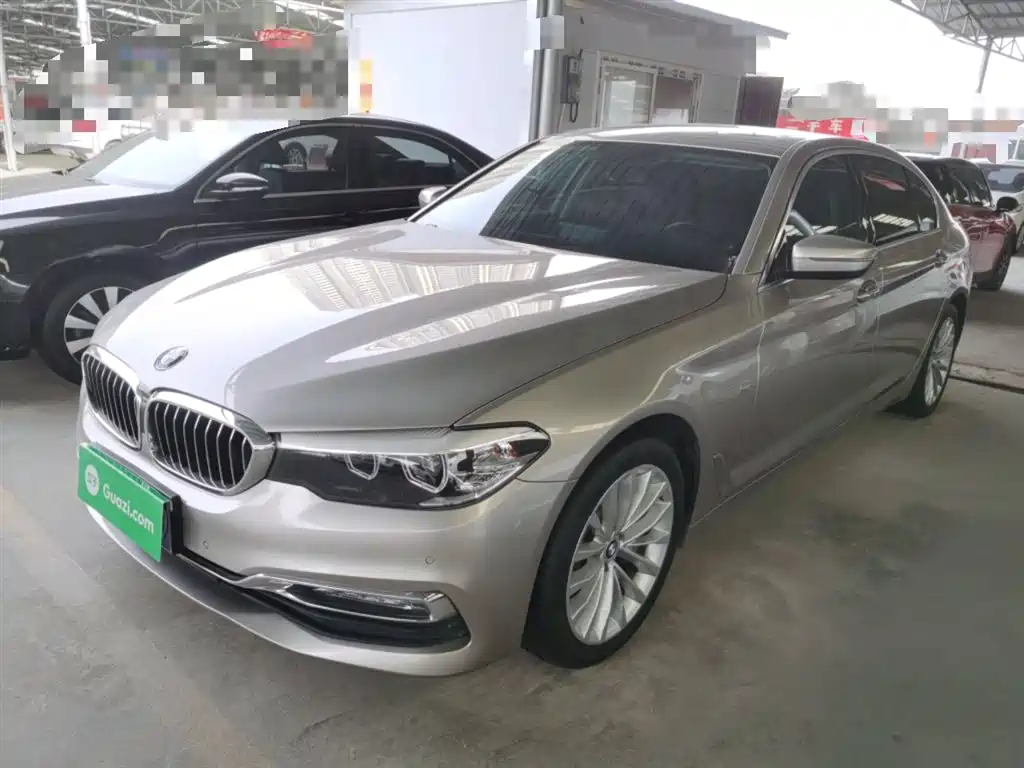BMW 5 Series 2018 530Li xDrive Luxury Package фото 2