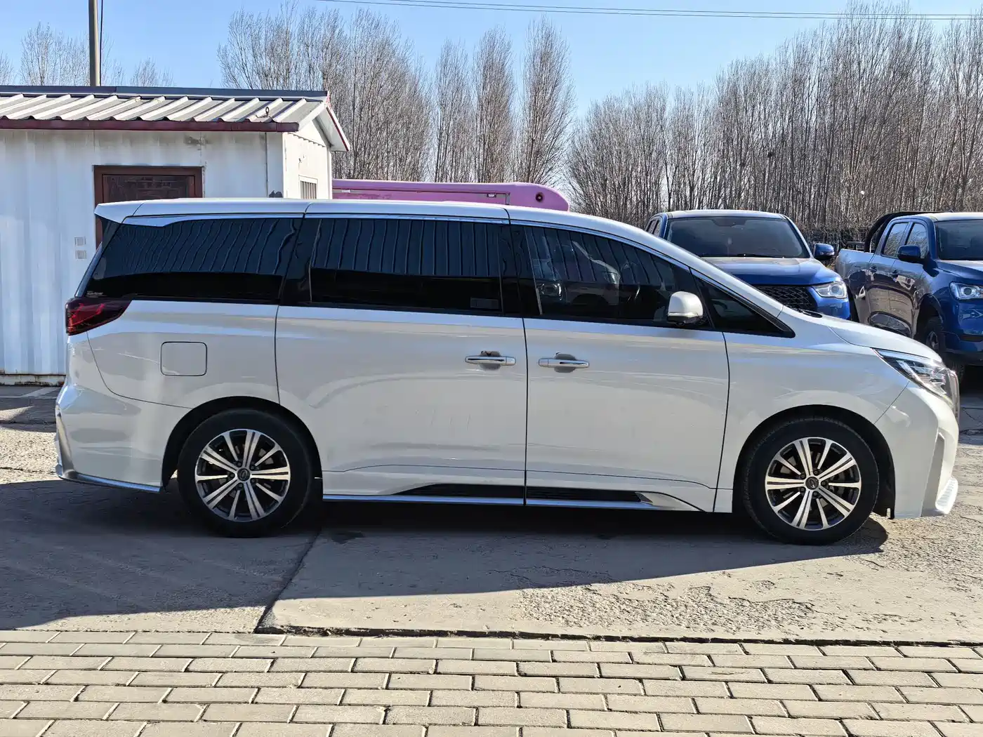 GAC Trumpchi Trumpchi M8 2020 Master Edition 390T Ultimate фото 6
