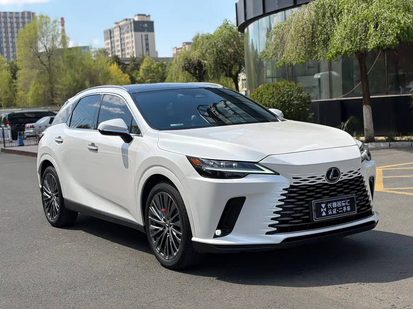 Lexus RX 2023 350h 4WD Pure Edition фото 3