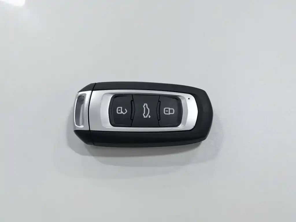 Geely Borui PHEV 2018 2018 1.5T PHEV Glory Edition
