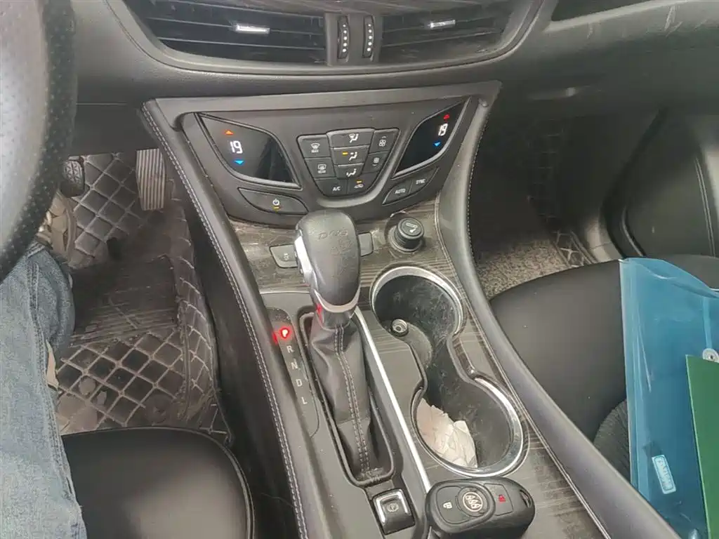 Buick Envision Plus 2019 20T 2WD Leading Type China V фото 14