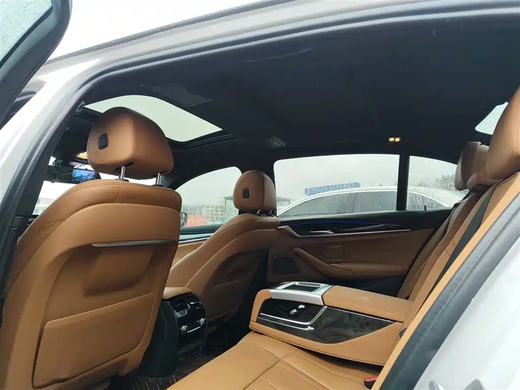 BMW 5 Series 2020 530Li Exclusive M Sport Package фото 18