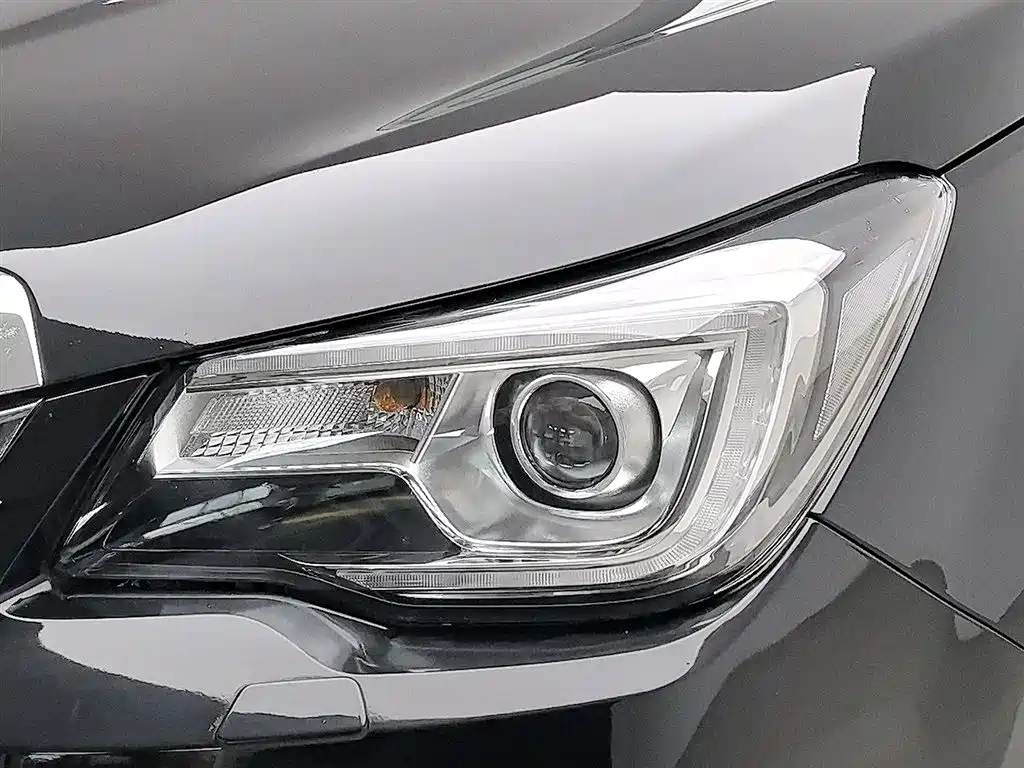 Subaru Forester 2016 2.5i Luxury Navigation Edition фото 7