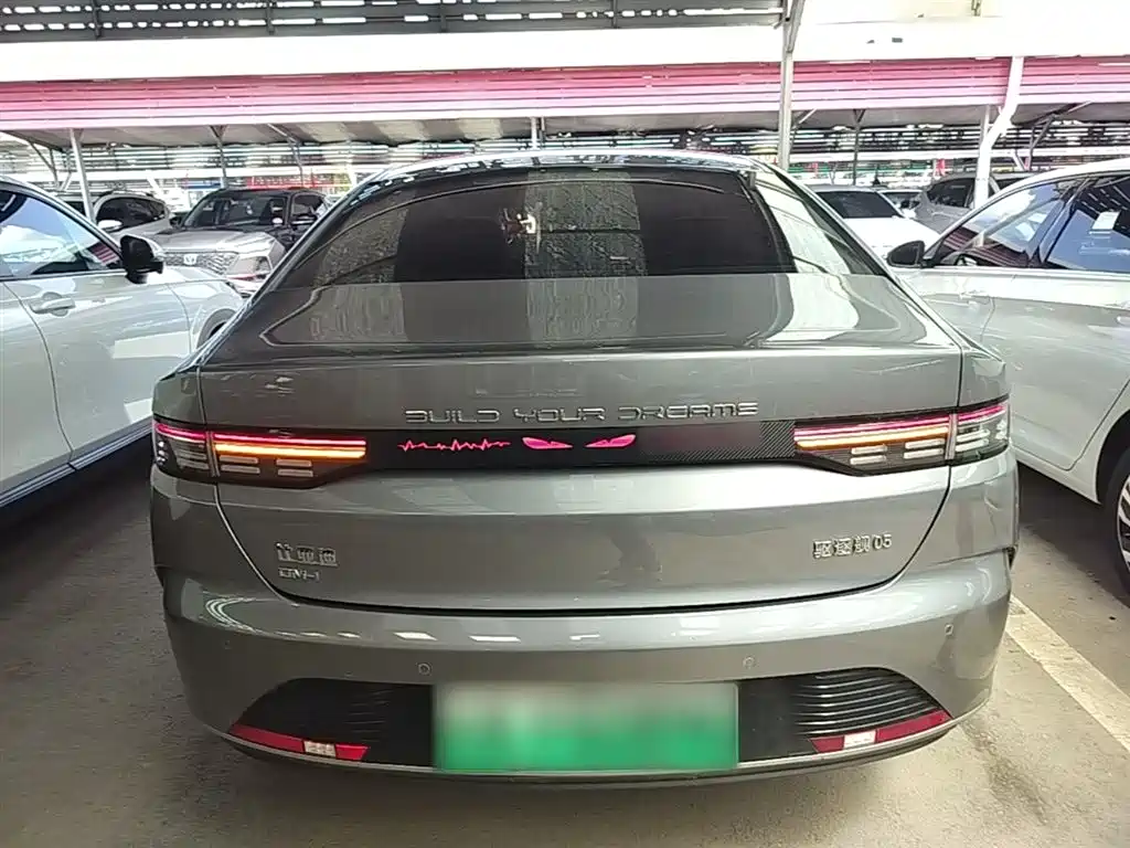 BYD Destroyer 05 2024 Glory Edition DM-i 55KM Luxury фото 6
