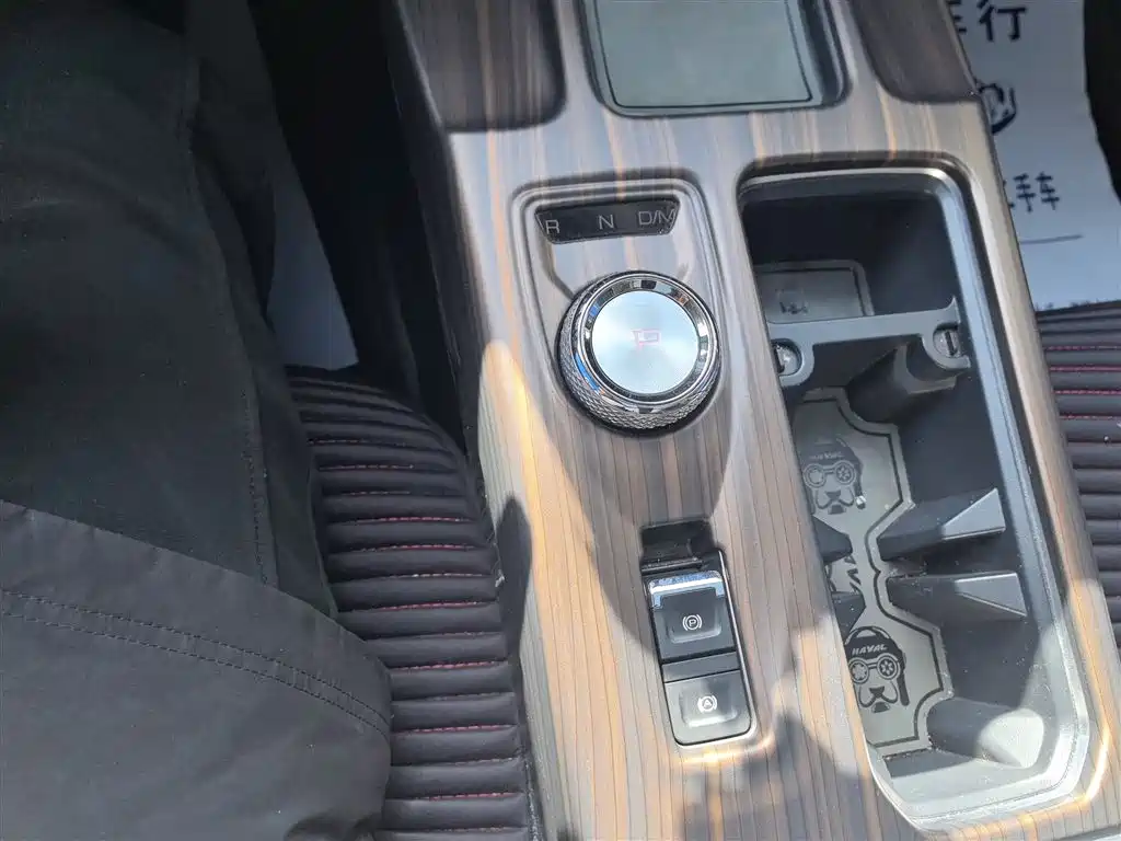 Haval Big Dog 2024 1.5T DCT Border Collie Edition фото 14