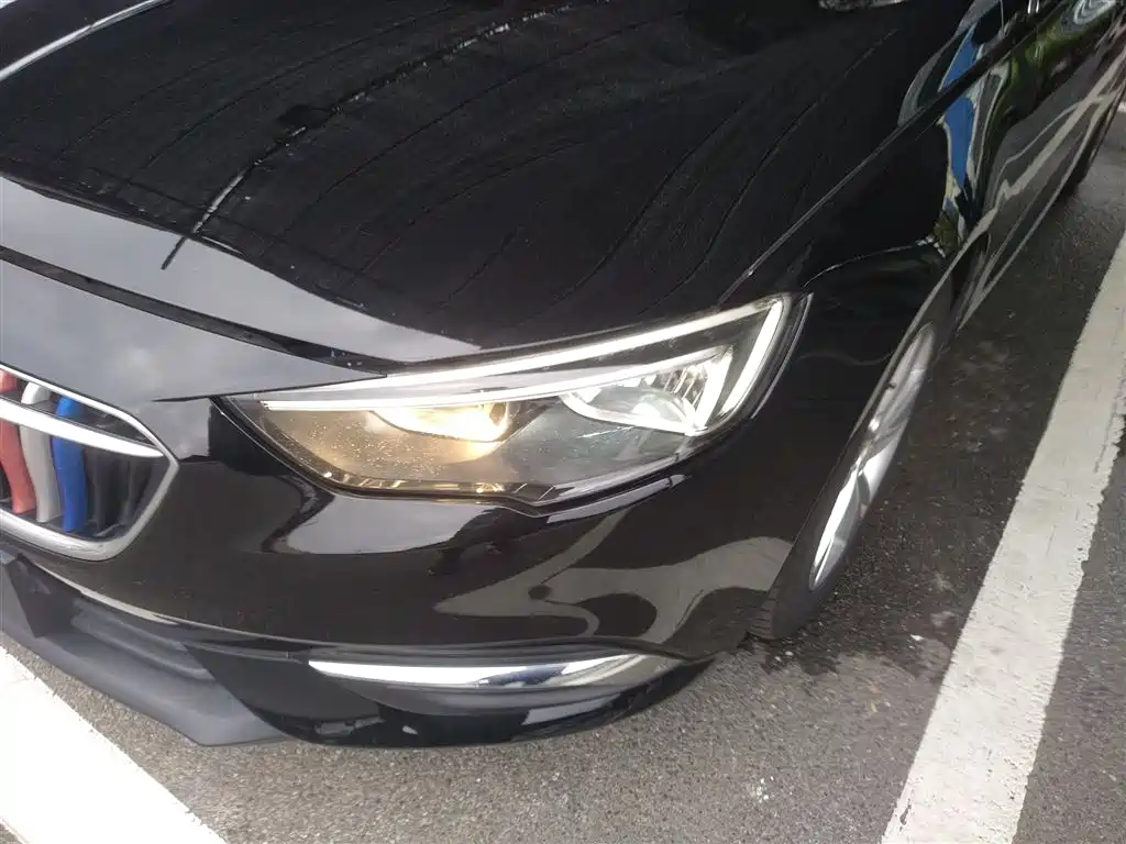 Buick Regal 2017 20T Elite Type фото 18