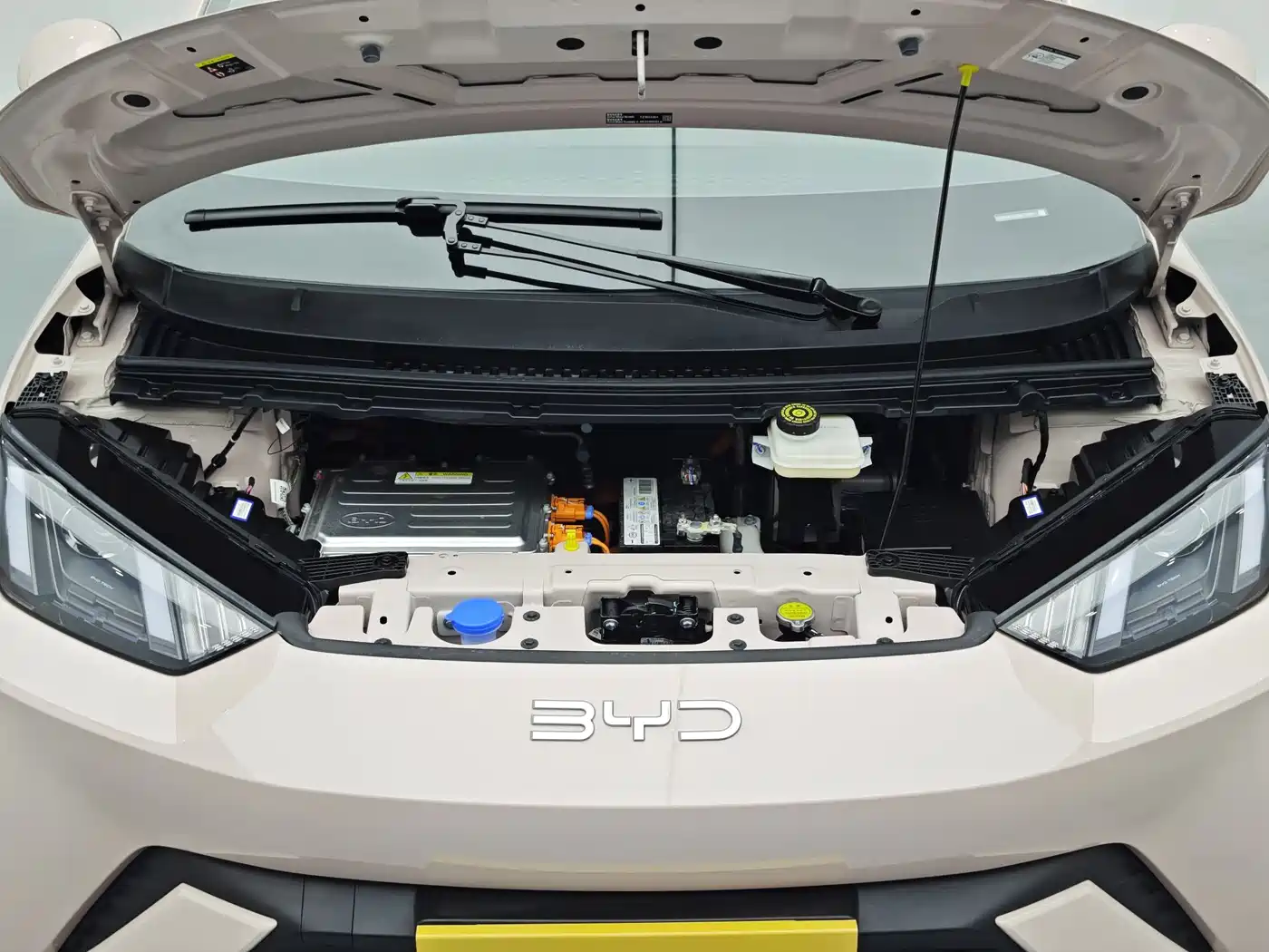 BYD Seagull 2024 Glory Edition 305km Vitality Edition фото 19