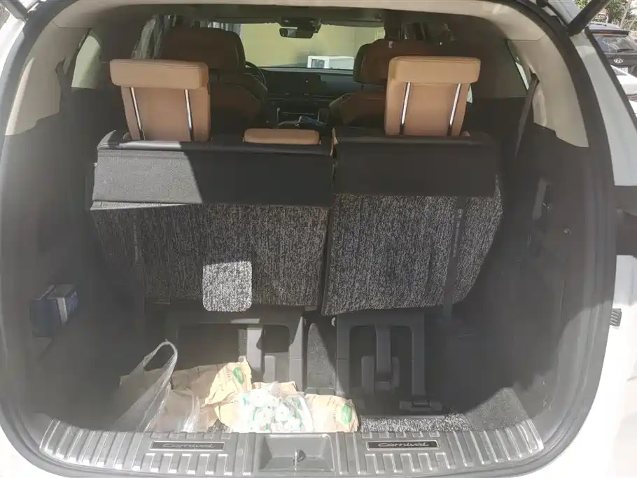Kia Carnival 2021 2.0T Flagship Edition фото 4