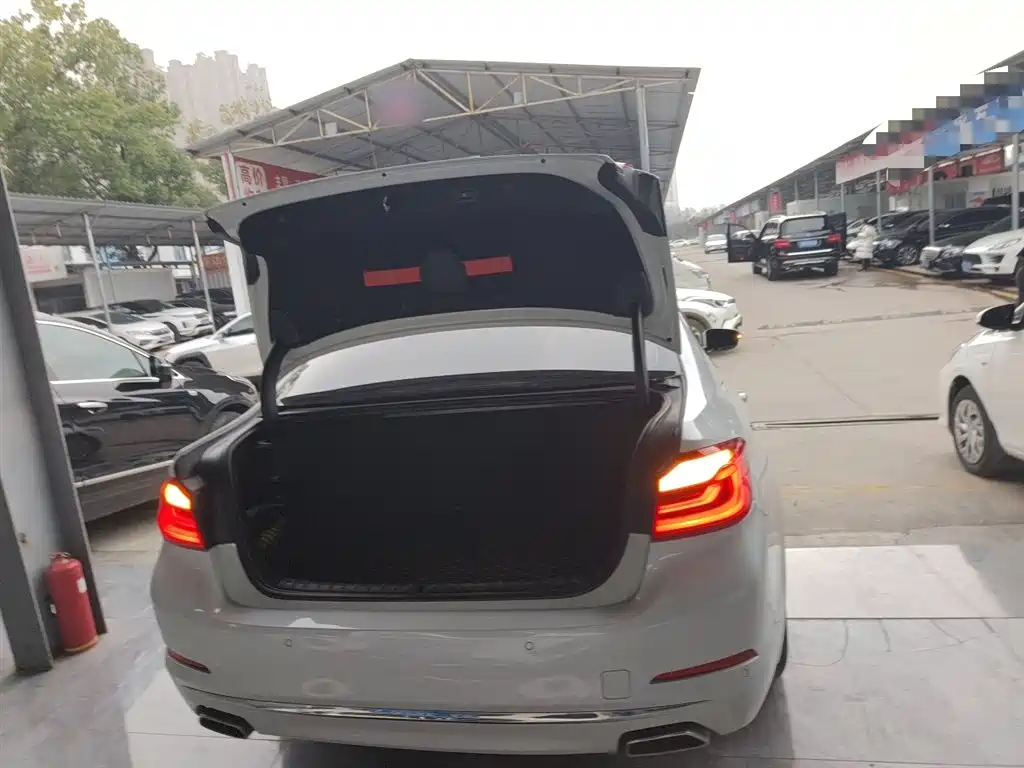 BMW 5 Series 2018 Facelift 530Li Leading Luxury Package фото 15