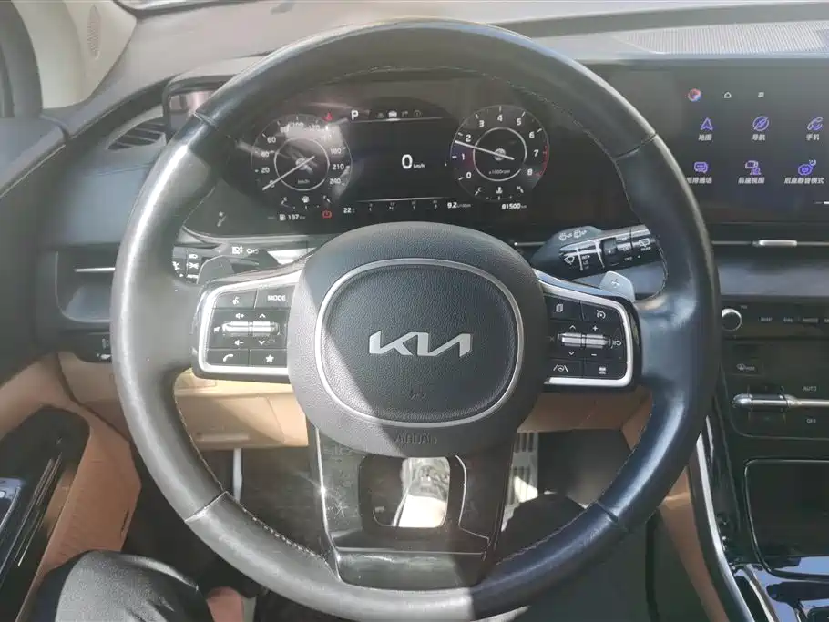 Kia Carnival 2021 2.0T Flagship Edition фото 15
