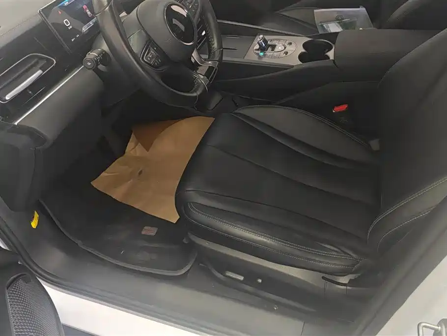 BYD Seal 06 New Energy 2024 DM-i 80KM Prestige фото 9