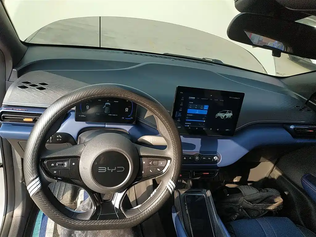 BYD Seagull 2025 Smart Drive Edition 305km Vitality Version фото 10