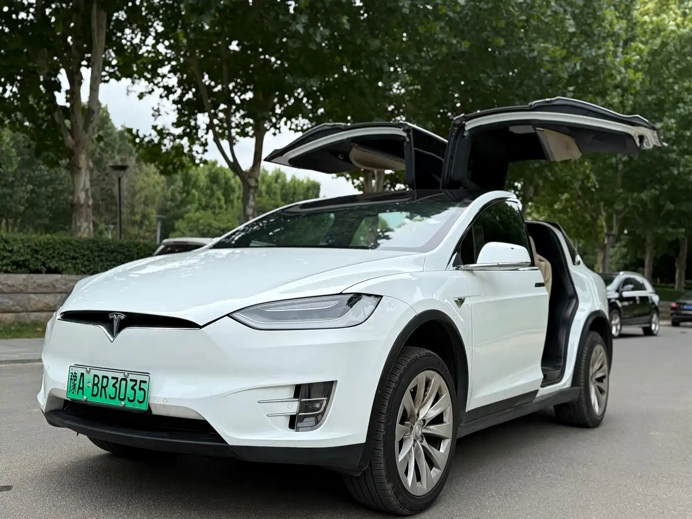 Фото 10 - Tesla Model X