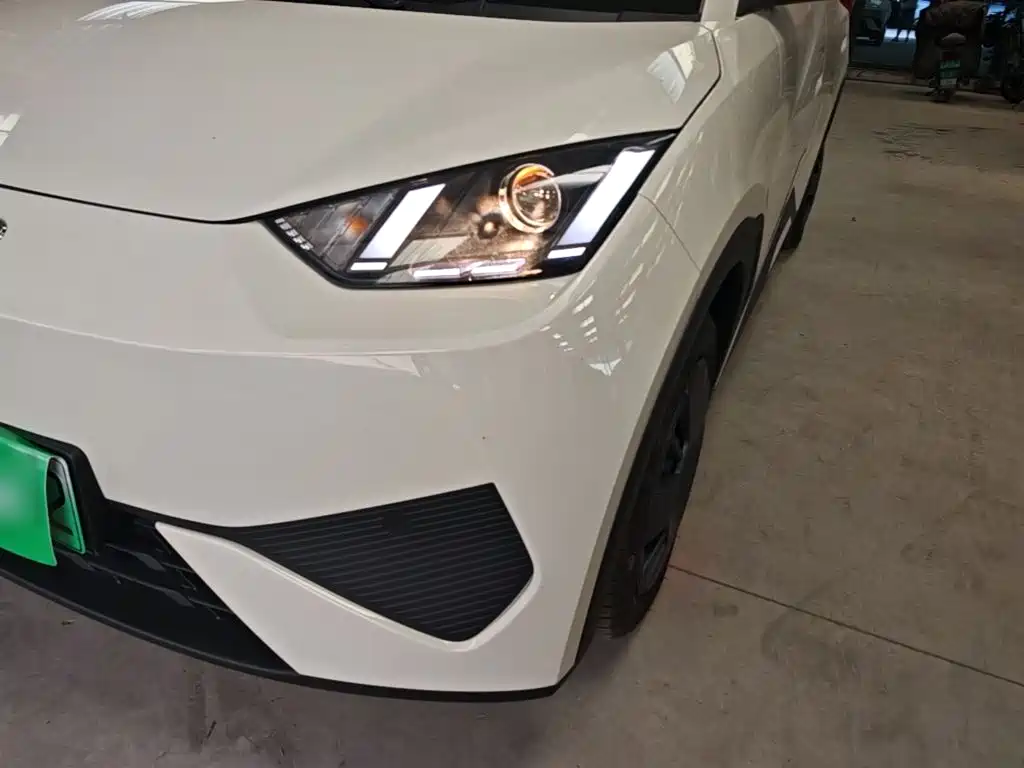 BYD Seagull 2026 2025 Smart Drive Edition 305km Vitality Version