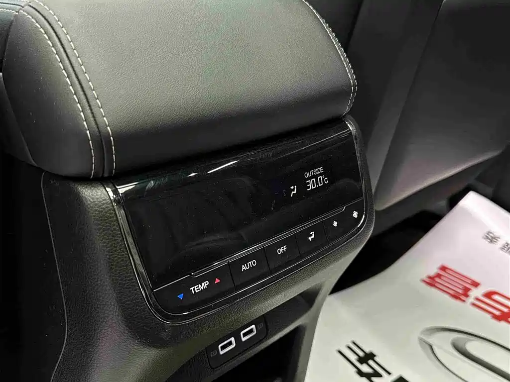 GAC Trumpchi Trumpchi GS8 2022 Dual Engine Series 2.0TM 4WD Premium Edition (6-Seater) фото 33